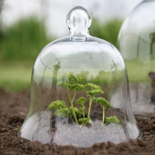 Access Glass Bells Set Of Three - Image 8