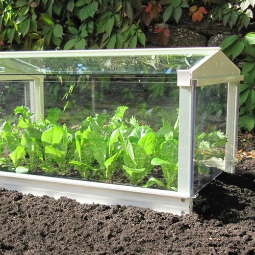 Access Glass Cloche - Image 2