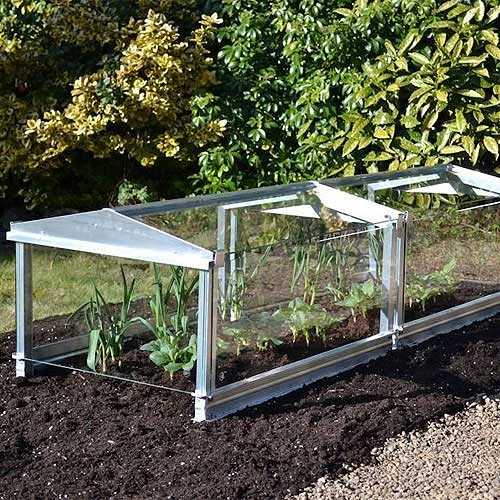 Access Glass Cloche - Image 5