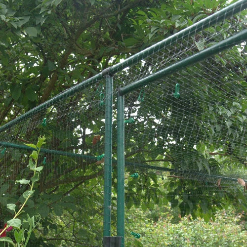 Deluxe 6' High Fruit Cage - Image 5