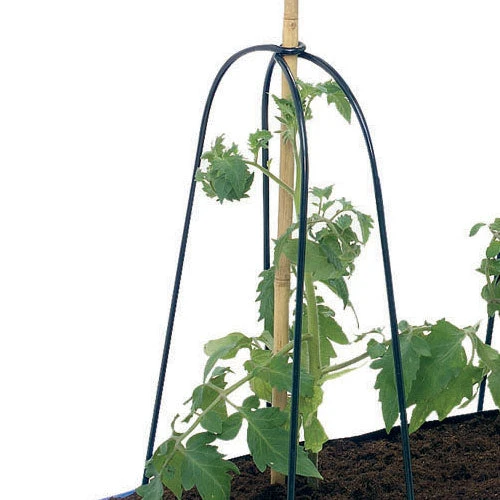 Grow Bag Cane Frame - Image 3