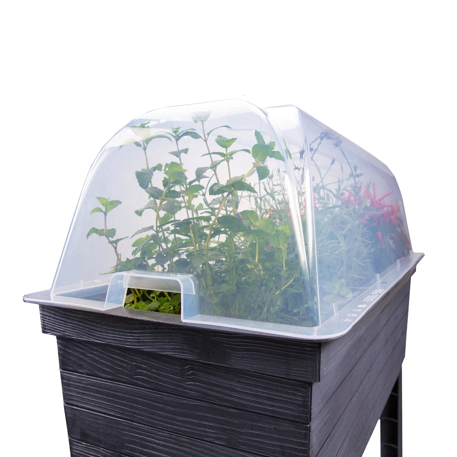 Urban Balcony Raised Bed - Image 7