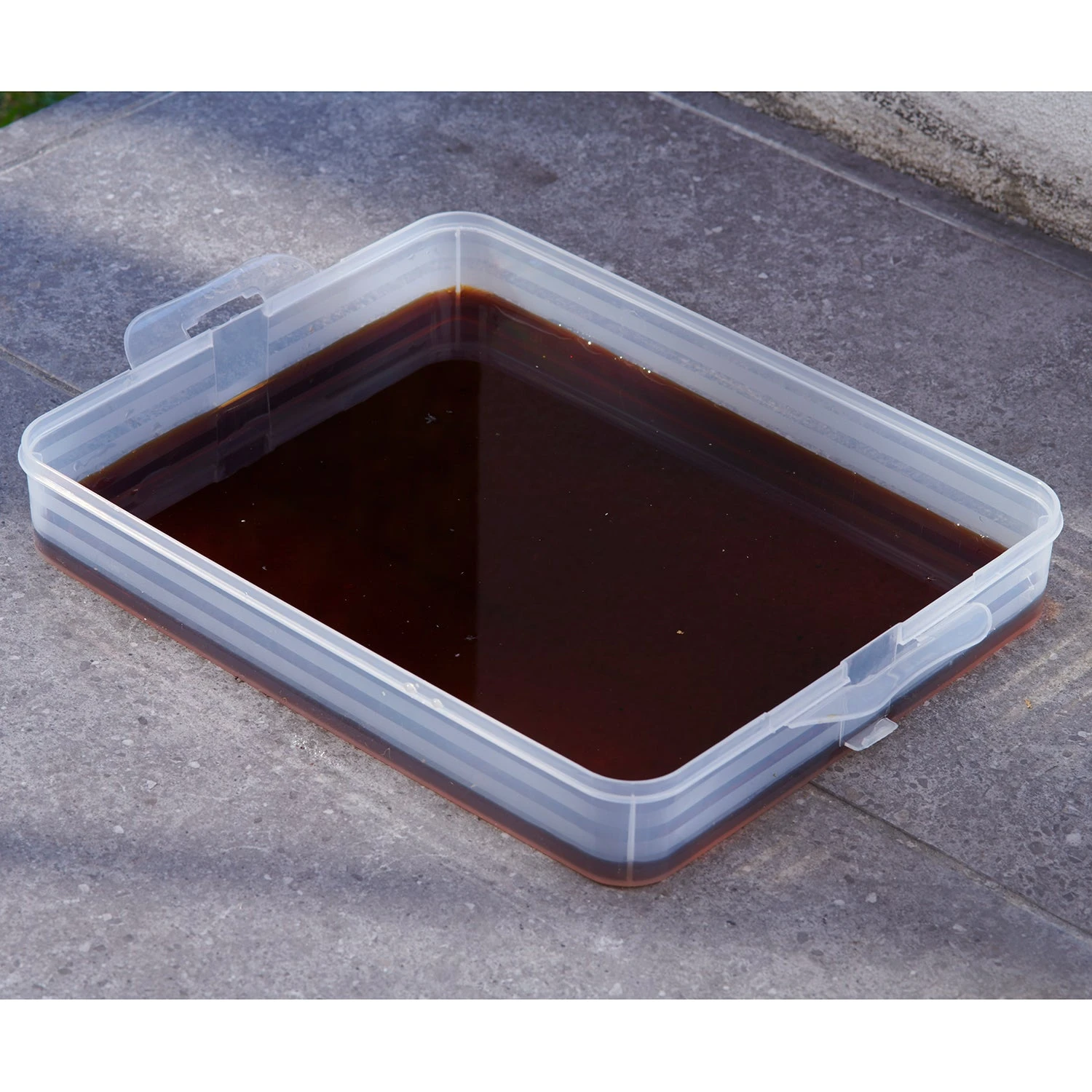 Maze Wormery - Image 13