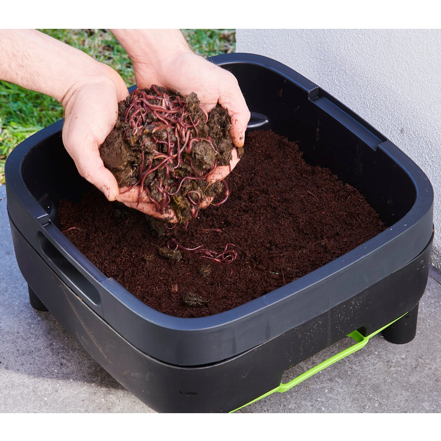 Maze Wormery - Image 4