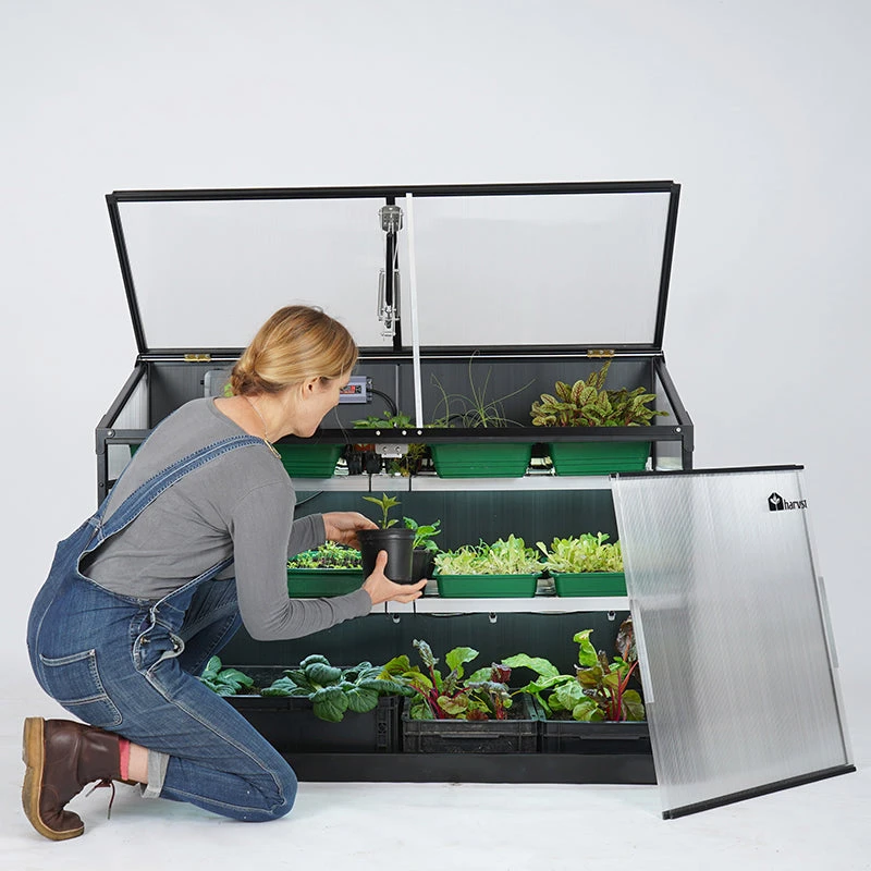 Sprout S14 Smart Mini Greenhouse - Image 2