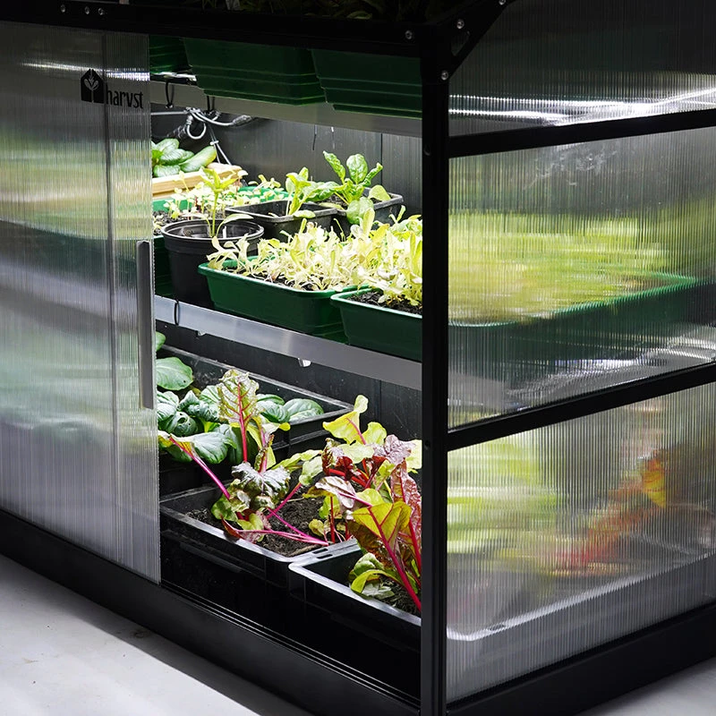Sprout S14 Smart Mini Greenhouse - Image 3