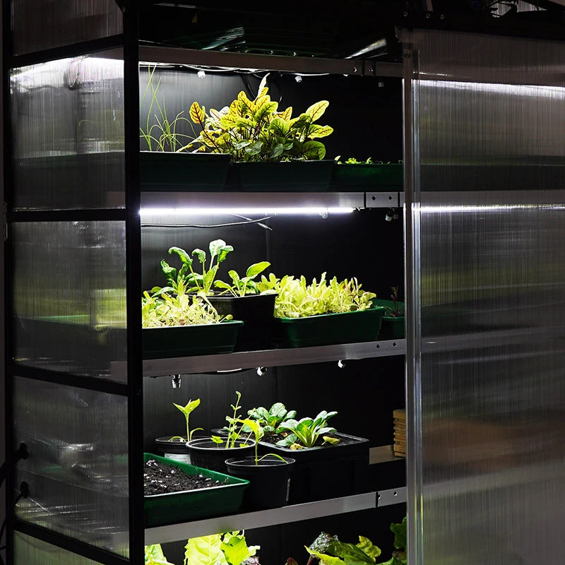 Sprout S24 Smart Mini Greenhouse - Image 11