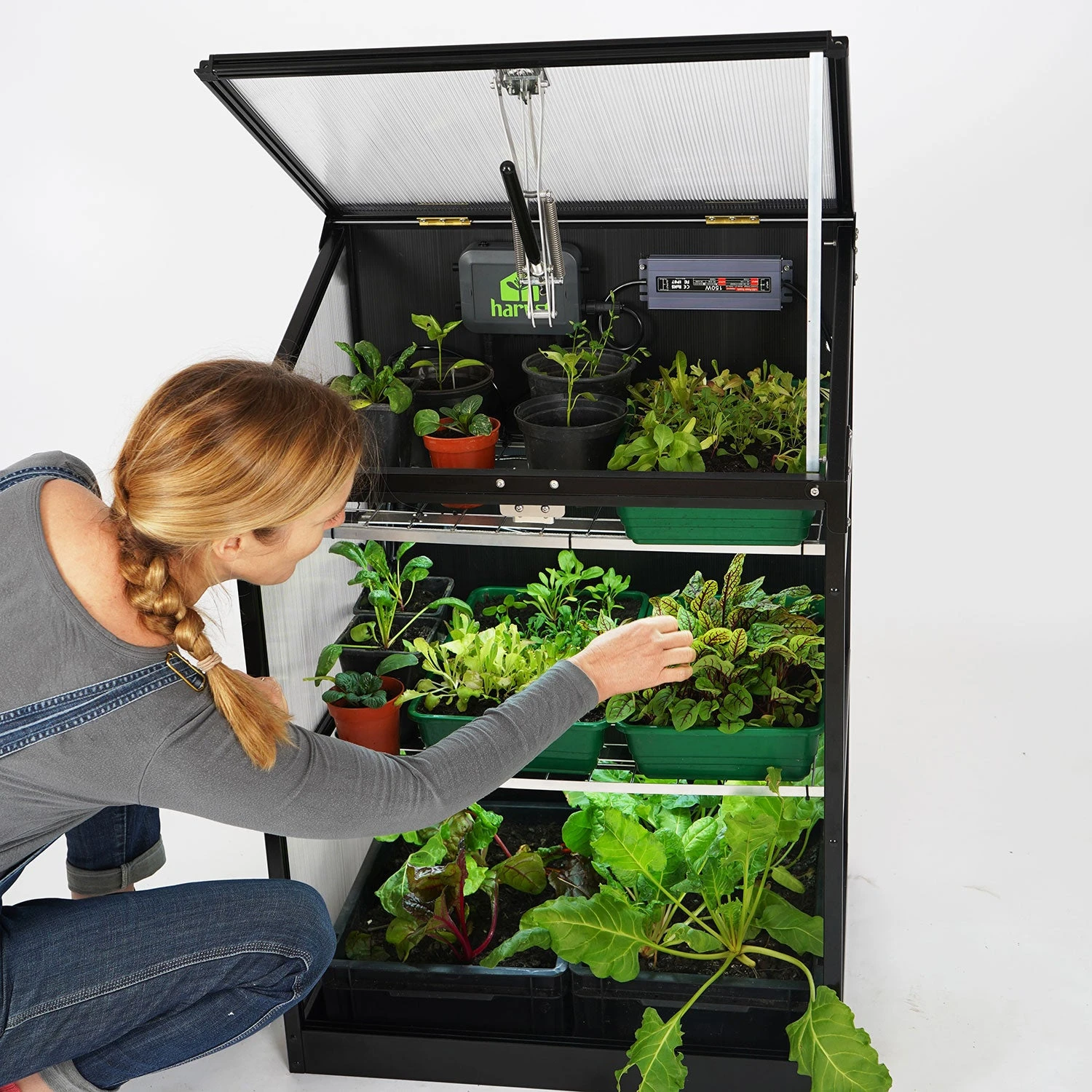 Sprout S6 Smart Mini Greenhouse - Image 11