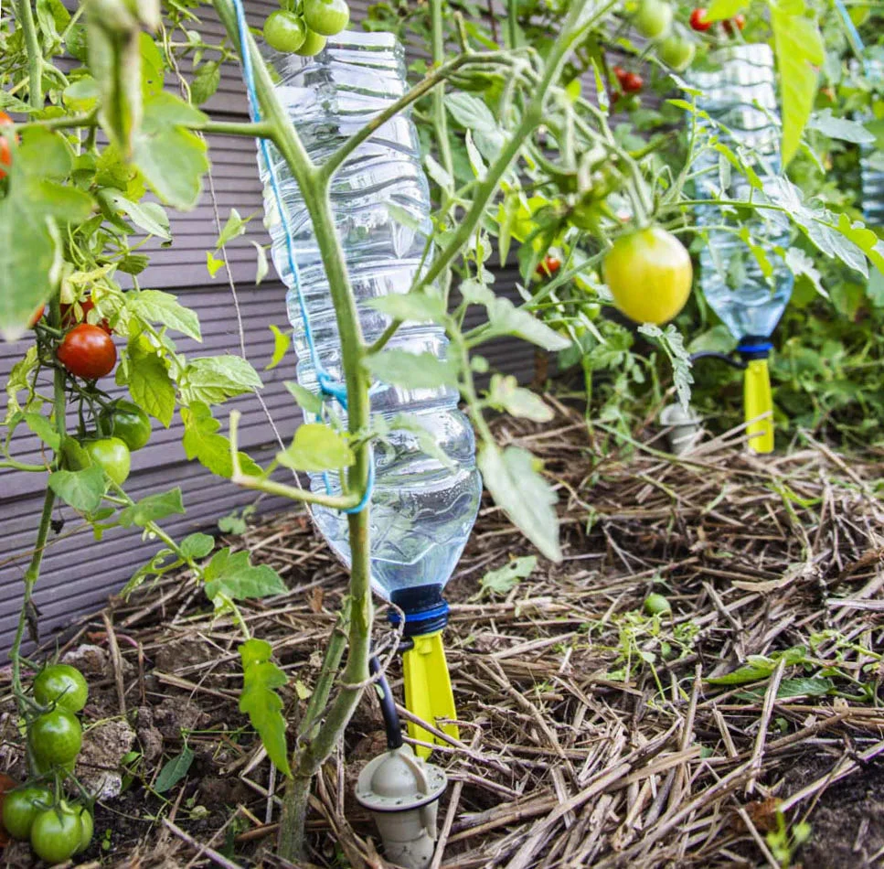 Iriso Watering Spike - Image 2