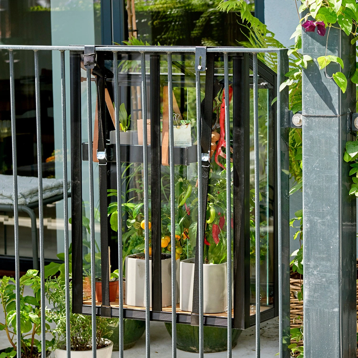 Juliana Balcony Greenhouse - Image 9