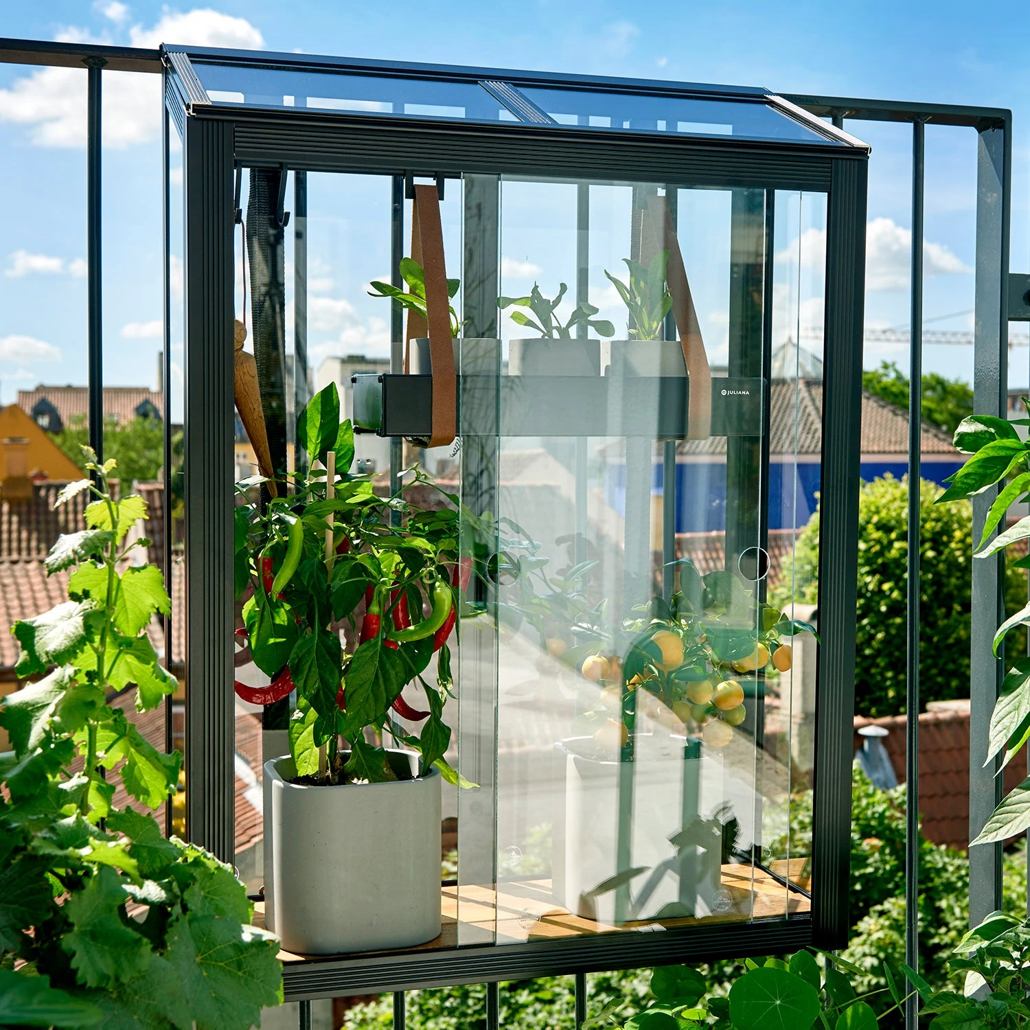 Juliana Balcony Greenhouse - Image 5