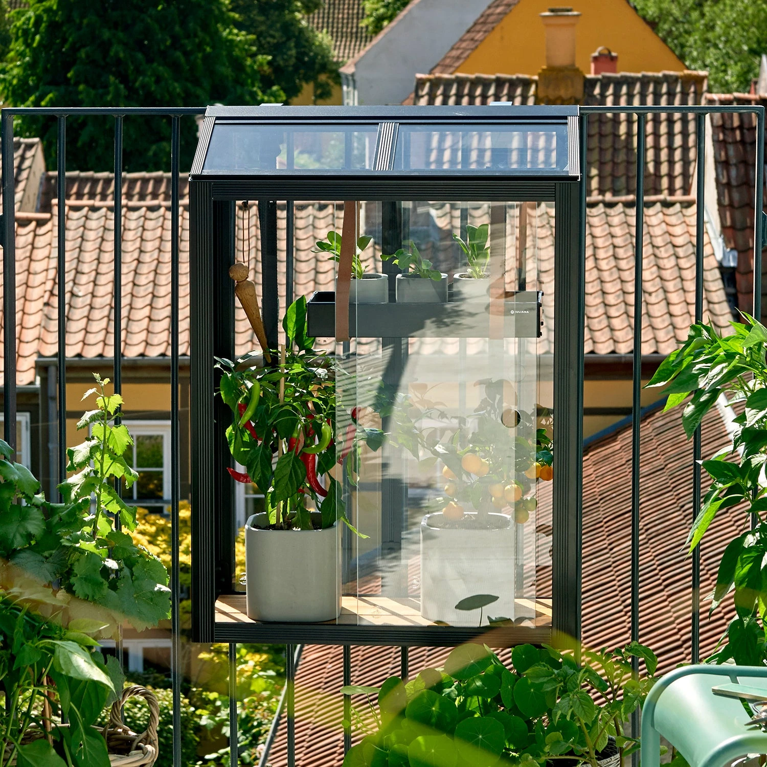 Juliana Balcony Greenhouse - Image 3