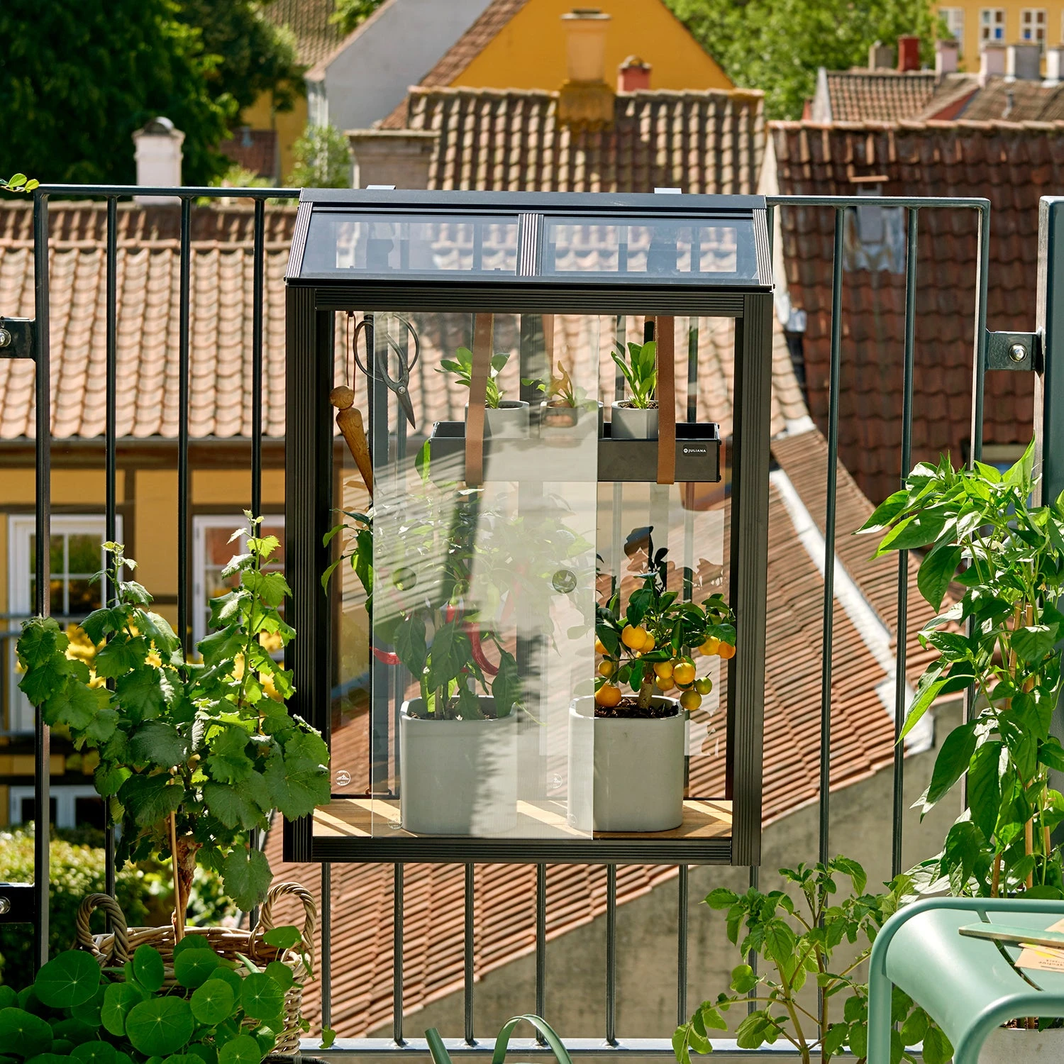 Juliana Balcony Greenhouse - Image 14