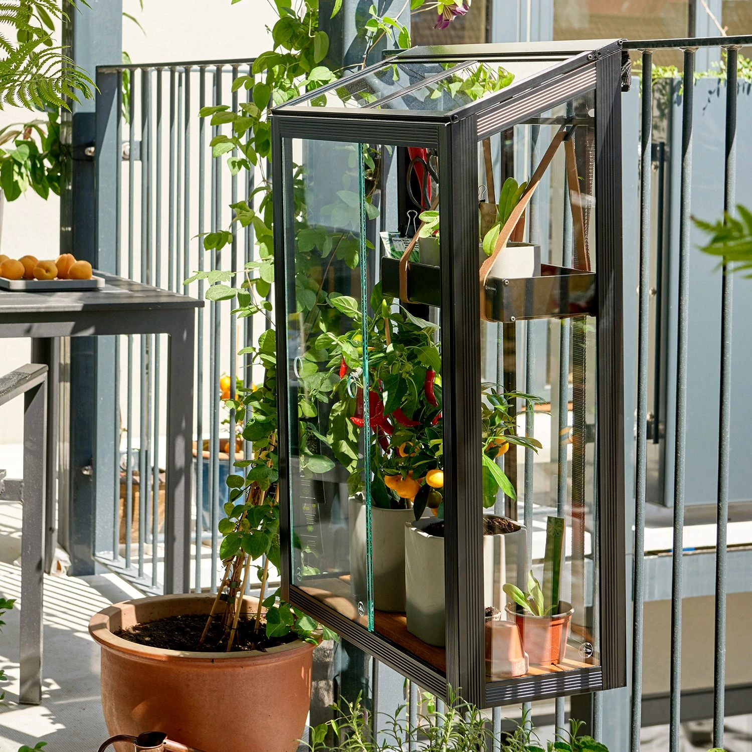 Juliana Balcony Greenhouse - Image 11