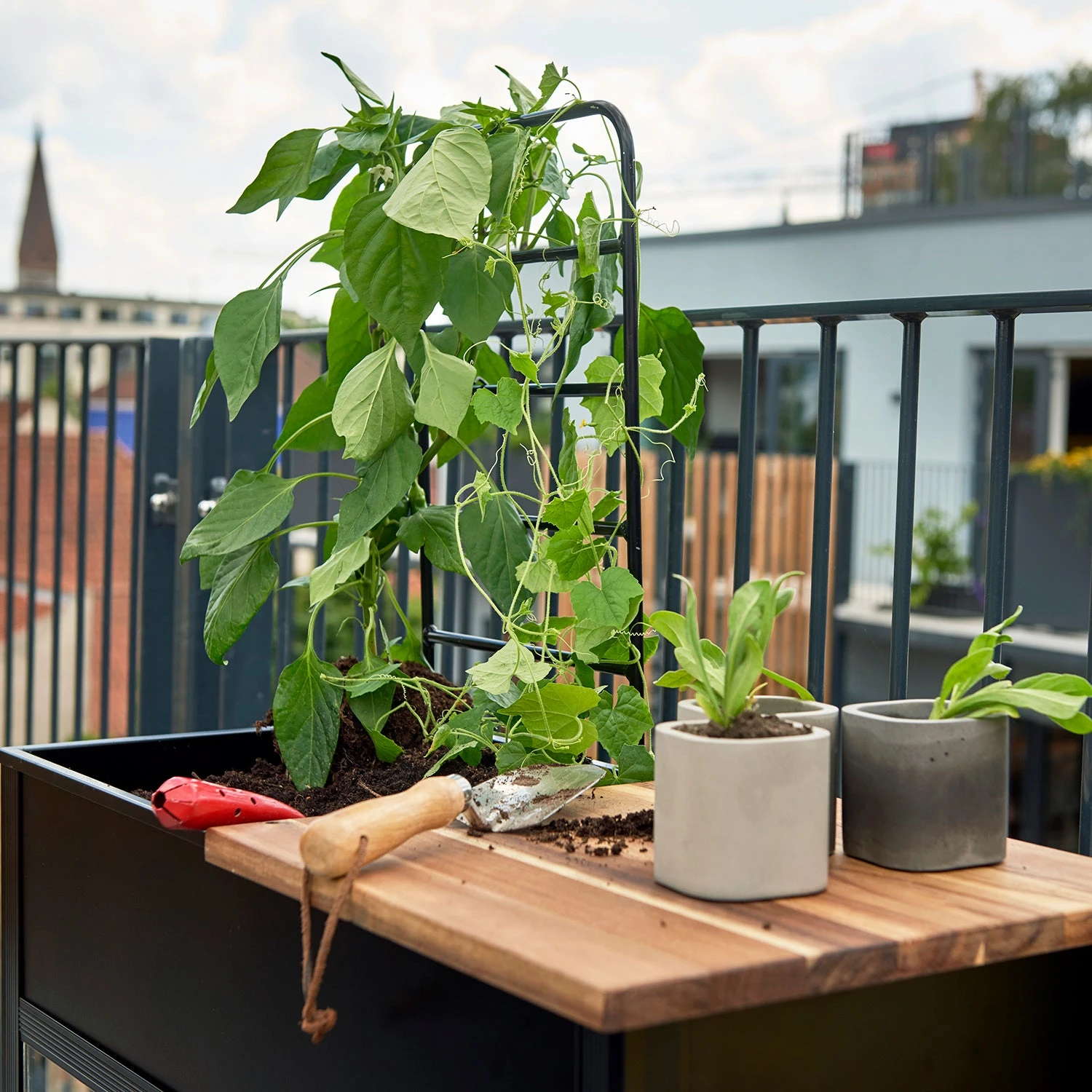 Juliana Vertical Greenhouse - Image 14