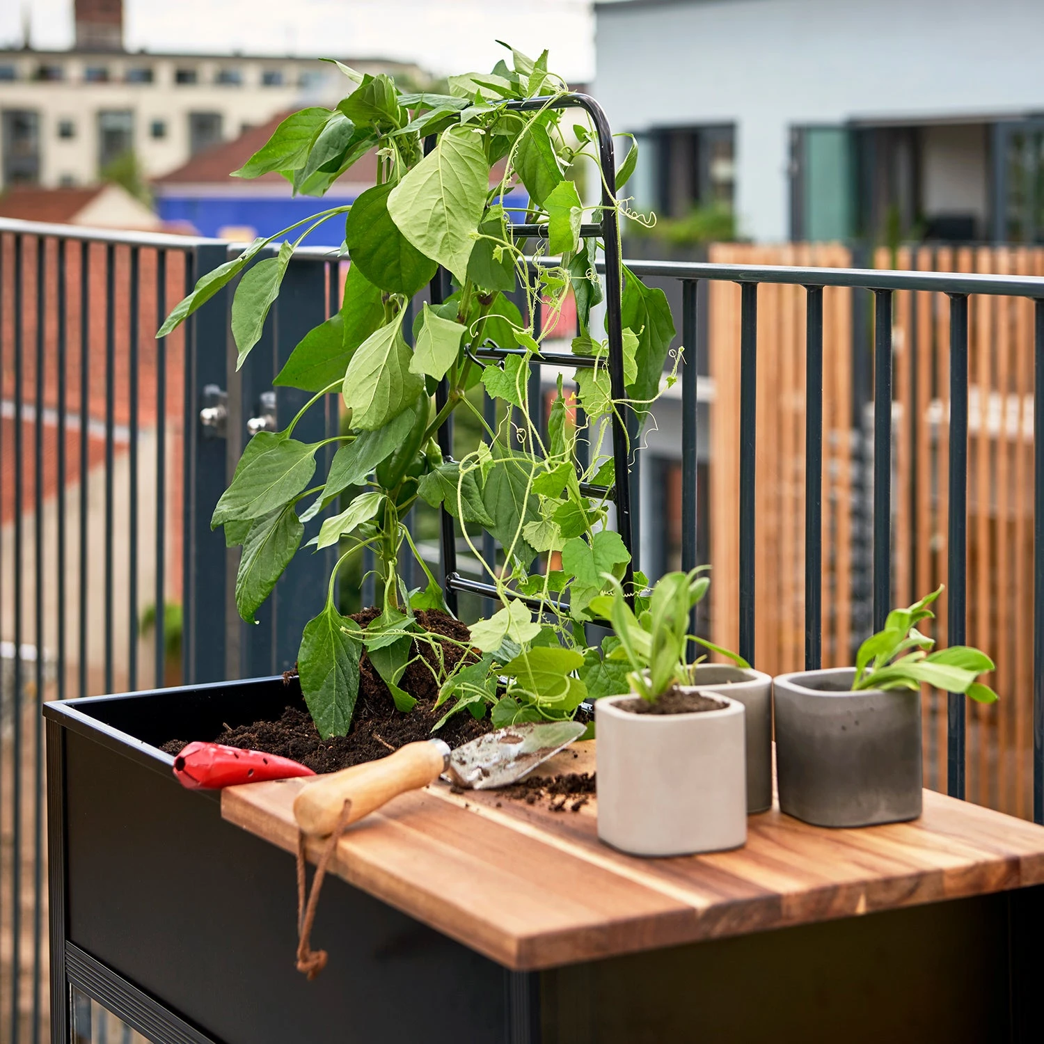 Juliana Vertical Greenhouse - Image 13