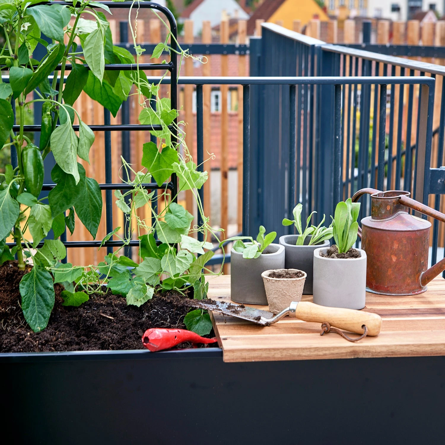 Juliana Vertical Greenhouse - Image 11