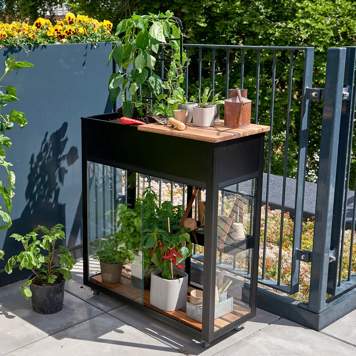 Juliana Vertical Greenhouse - Image 9