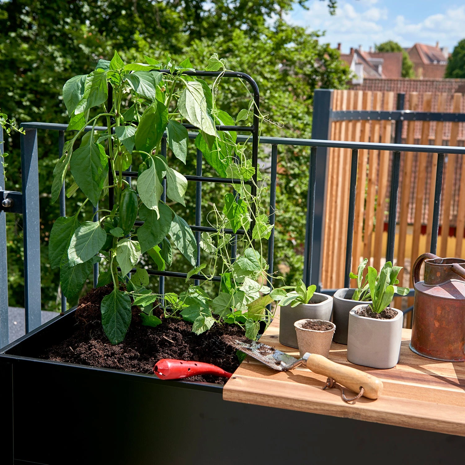 Juliana Vertical Greenhouse - Image 8