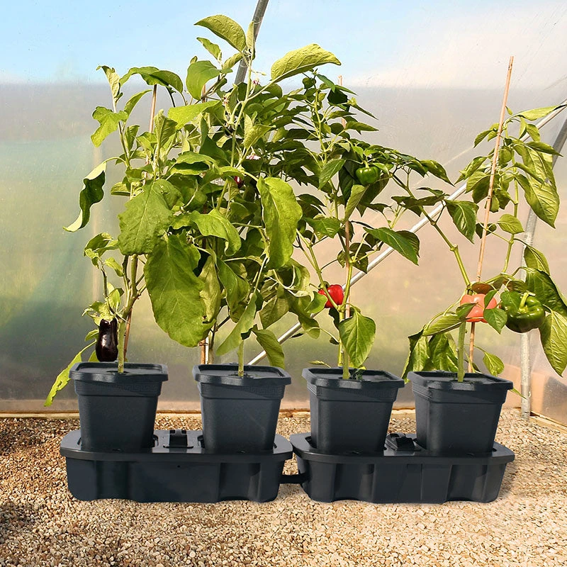 Quadgrow Planter - Image 9