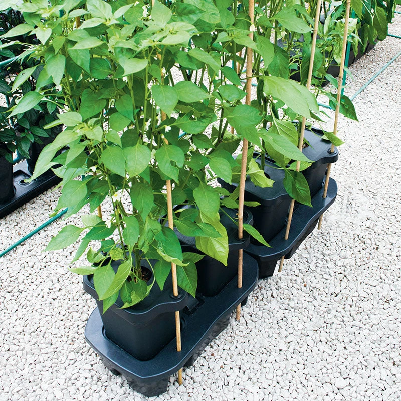 Quadgrow Planter - Image 10