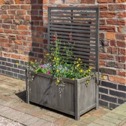 Rowlinson Alderley Rectangular Planter And Trellis