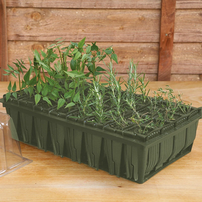 Rootrainers - Image 4