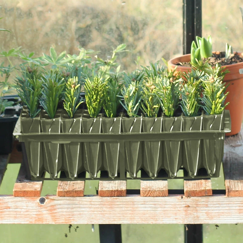 Rootrainers - Image 3