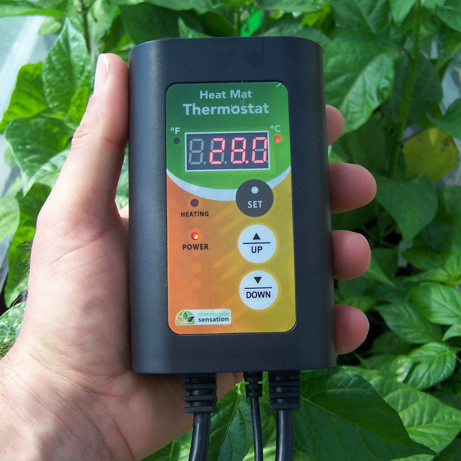 Monotop Propagator - Image 9