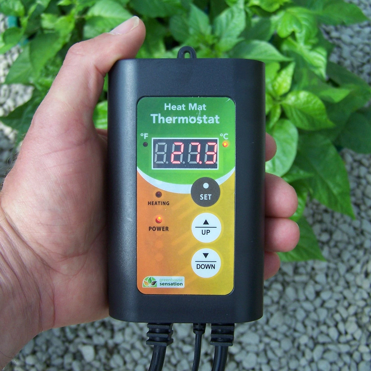 Monotop Propagator - Image 8