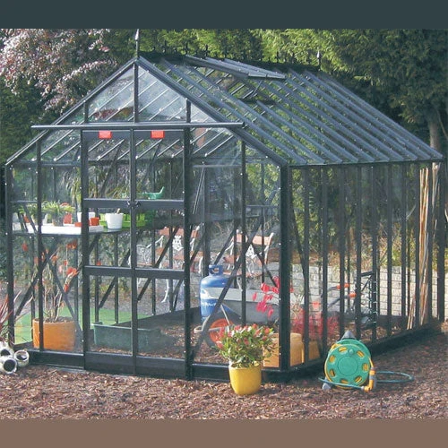 8x10 Greenhouse - Elite Thyme - Image 5