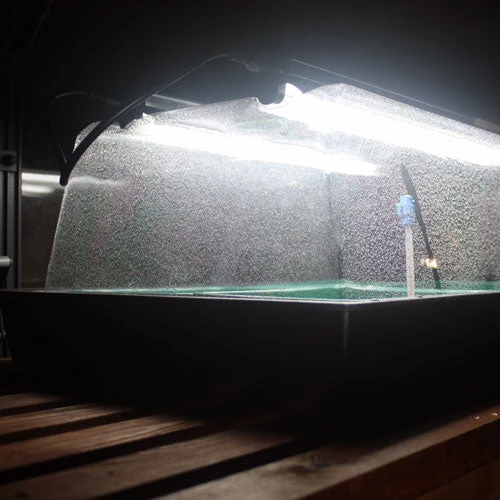 Monotop Propagator - Image 5