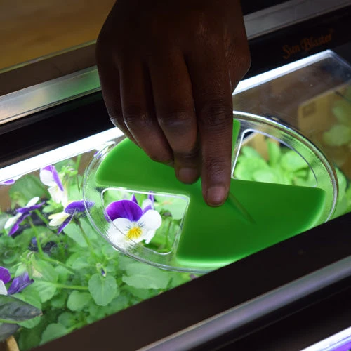 Monotop Propagator - Image 6