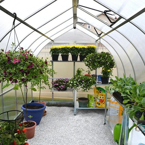 Palram Canopia Bella Greenhouse - Image 4