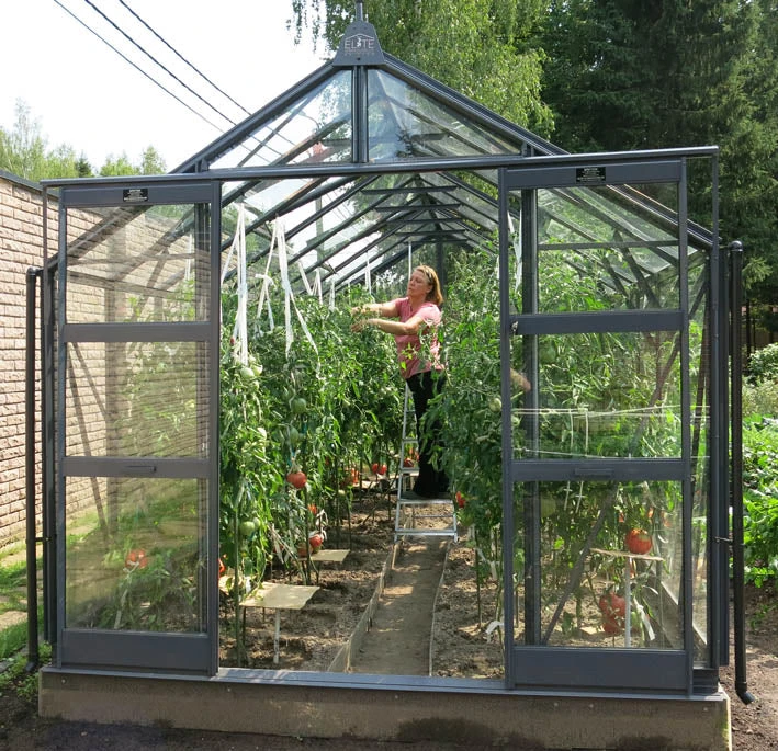 Elite Titan 800 Package Deal - Image 2