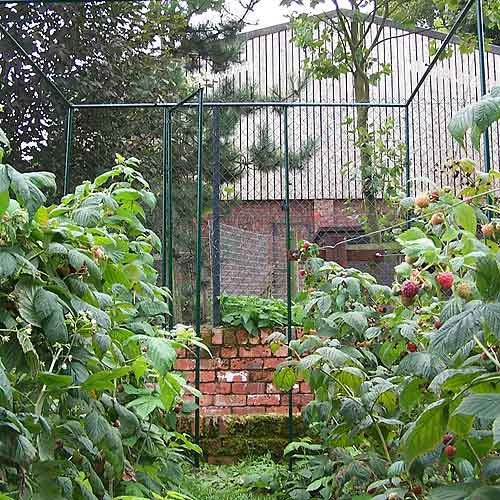 Deluxe Fruit Cage Door - Image 5