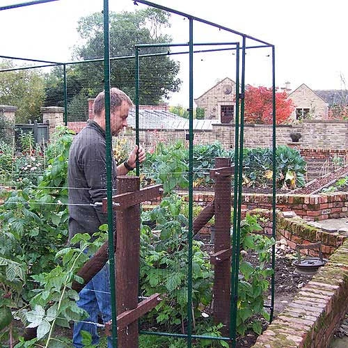 Deluxe Fruit Cage Door - Image 4