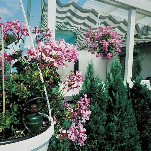 Tropf Blumat Mains Kit - Fitting To 19mm Threaded Tap