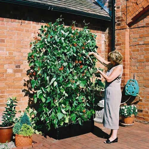 Mini Raised Bed Set - Bed, Liner And Support Frame