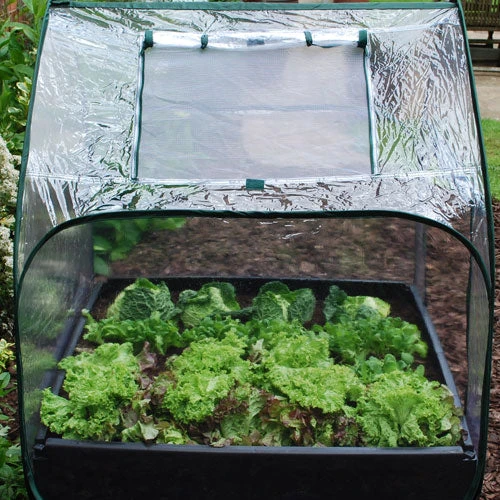 Large Raised Bed With Pop Up Mini Greenhouse - Image 4