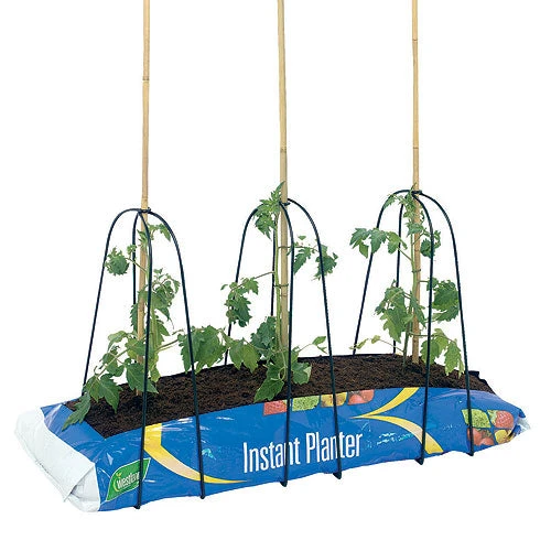 Grow Bag Cane Frame - Image 2