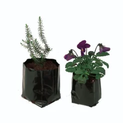 Polythene Pots