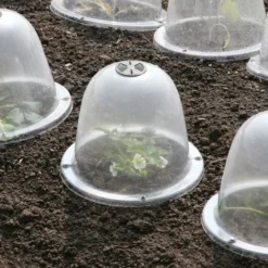 Pack Of 3 Popular Bells