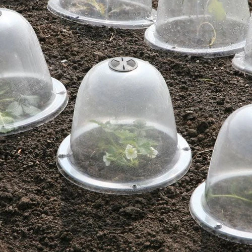 Pack Of 3 Popular Bells