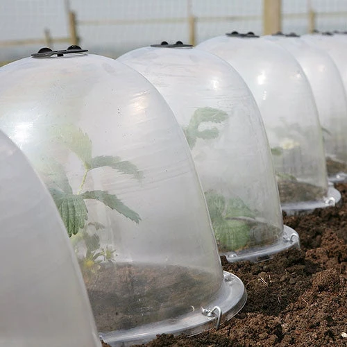 Pack Of 3 Popular Bells - Image 7