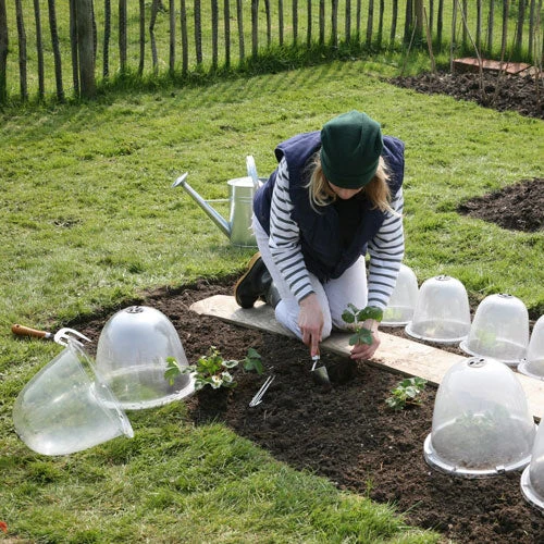 Pack Of 3 Popular Bells - Image 5