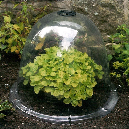 Pack Of 3 Popular Bells - Image 4