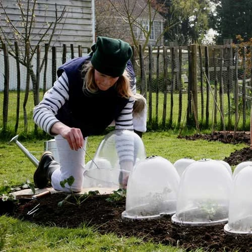 Pack Of 3 Popular Bells - Image 3