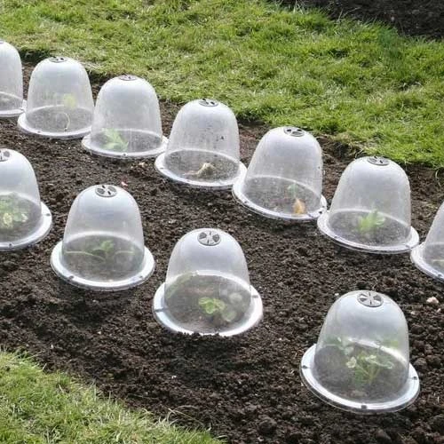 Pack Of 3 Popular Bells - Image 2