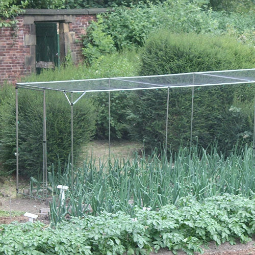 Standard 6' High Fruit Cage - Image 2